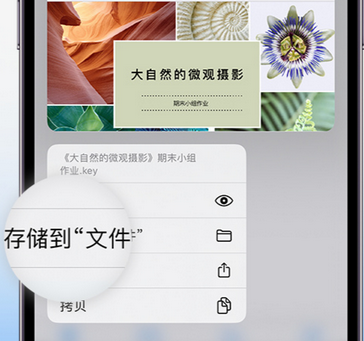 孝感apple维修中心分享iPhone文件应用中存储和找到下载文件