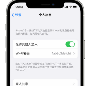 孝感apple服务站点分享iPhone上个人热点丢失了怎么办 