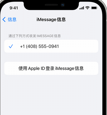 孝感apple维修iPhone上无法正常发送iMessage信息 