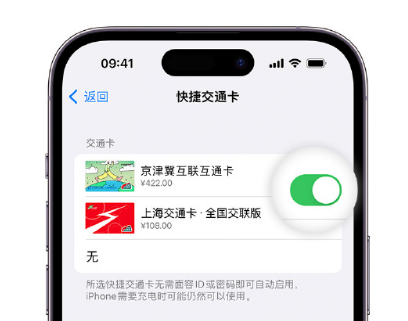 孝感apple维修点分享iPhone上更换Apple Pay快捷交通卡手绘卡面 