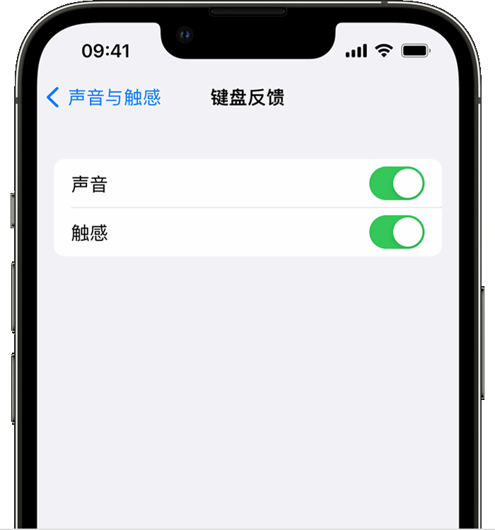 孝感苹果14维修店分享如何在 iPhone 14 机型中使用触感键盘 