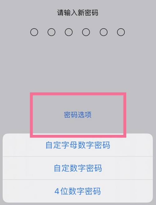 孝感苹果14维修分享iPhone 14plus设置密码的方法 