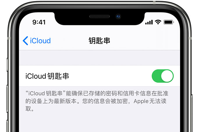 孝感苹果手机维修分享在 iPhone 上开启 iCloud 钥匙串之后会储存哪些信息 