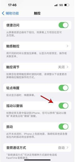孝感苹果手机维修分享iPhone手机如何设置摇一摇删除文字 