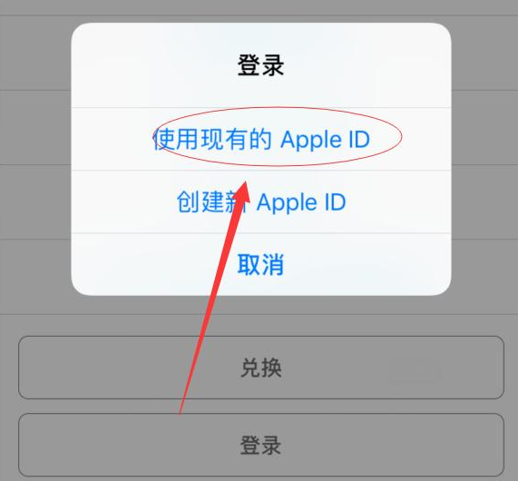 孝感苹果手机维修分享两台iPhone设备可以同时登录一个Apple ID吗 