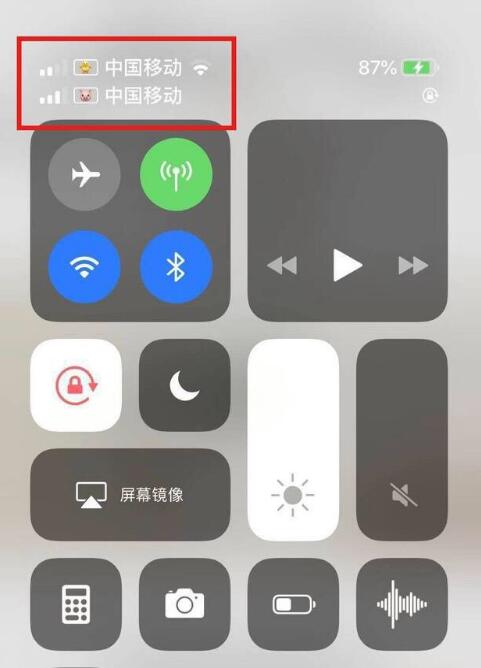 孝感苹果手机维修分享为 iPhone 12 双卡设置标签 