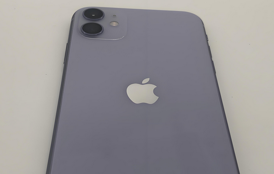 孝感苹果11系统维修分享iPhone11手机系统崩溃无法开机如何解决